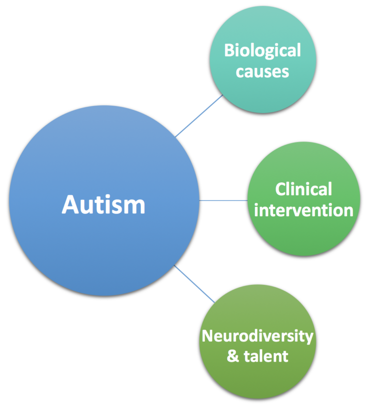 Autism Research – Dr. David Greenberg