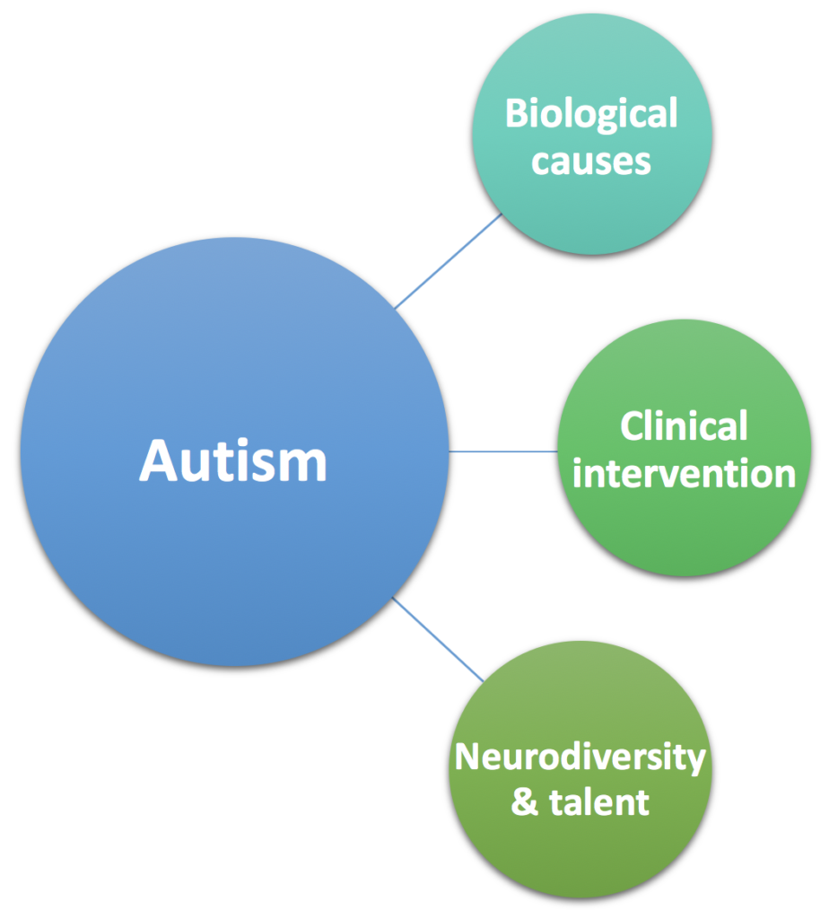 examples of research questions on autism