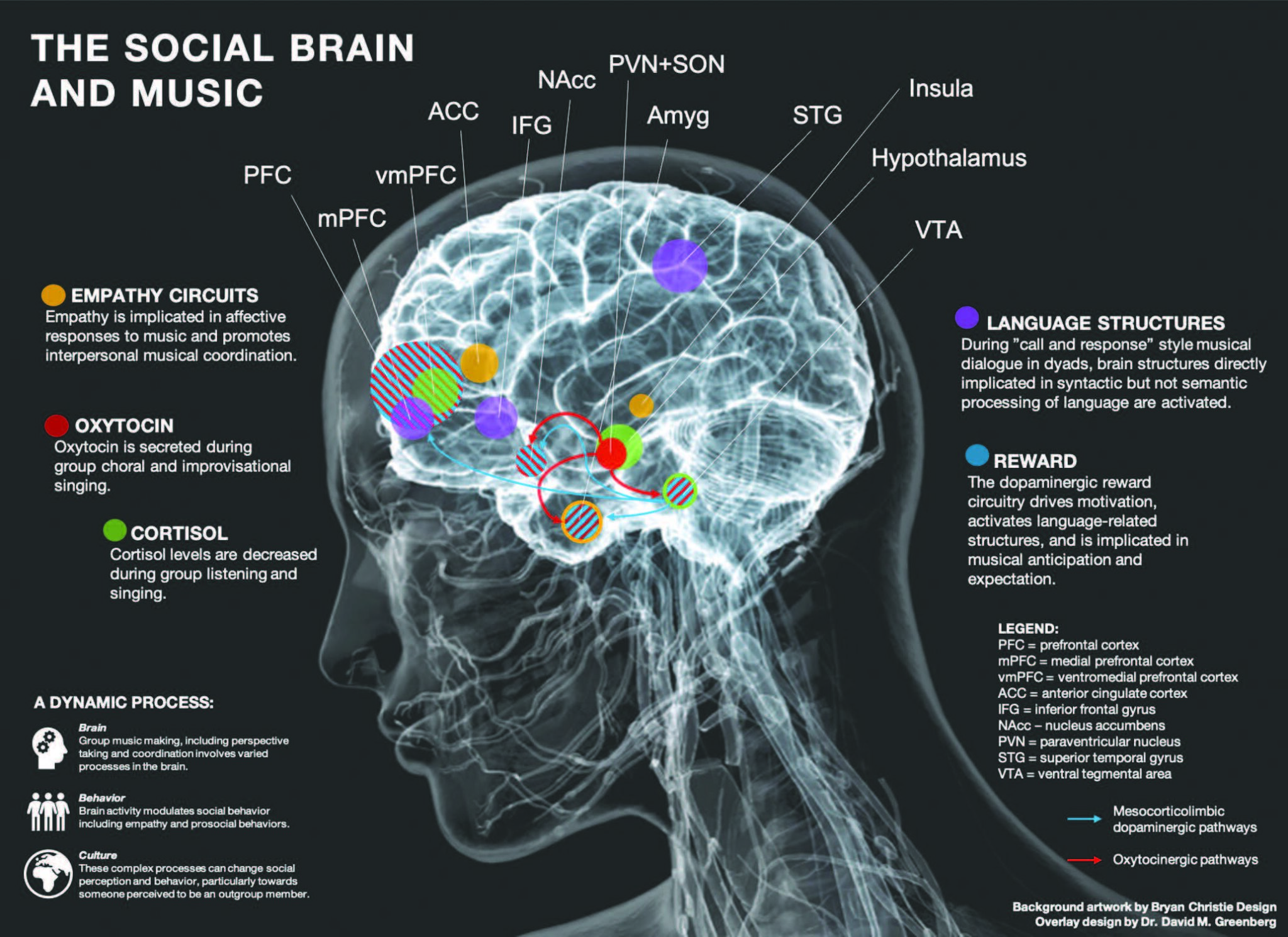 How can music affect people s emotions. Ventral tegmental area. Social Neuroscience.